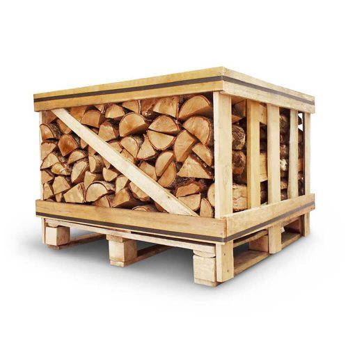 Caisse de bouleau ordinaire